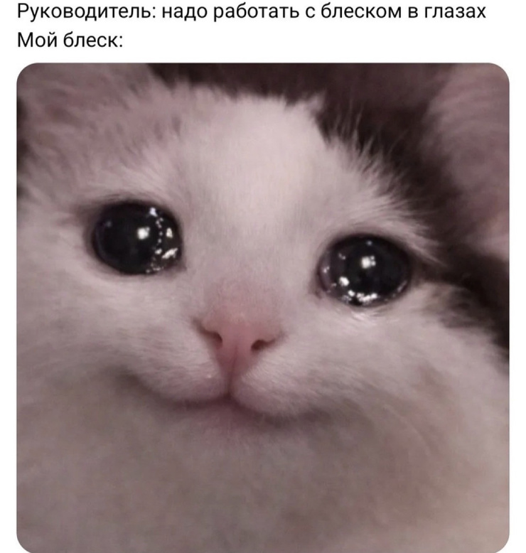 ������� ���� � ������� ��� ���������� (33 ����)