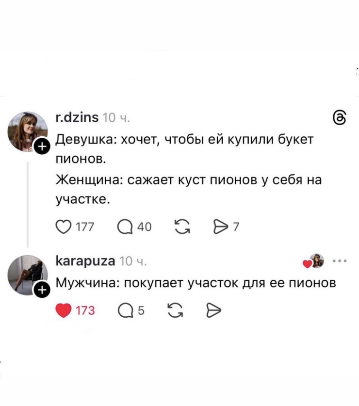 ������� ���� � ������� ��� ���������� (33 ����)