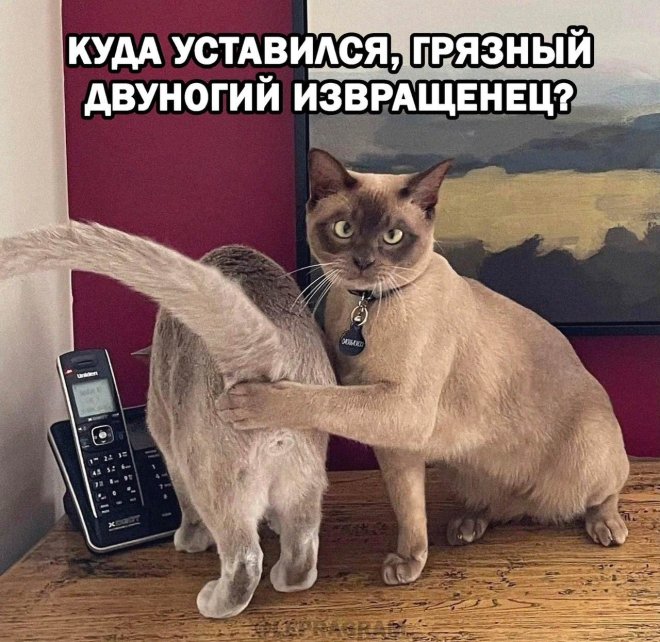 ������� ���� � ������� ��� ���������� (33 ����)
