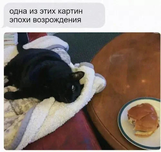 ������� ���� � ������� ��� ���������� (33 ����)