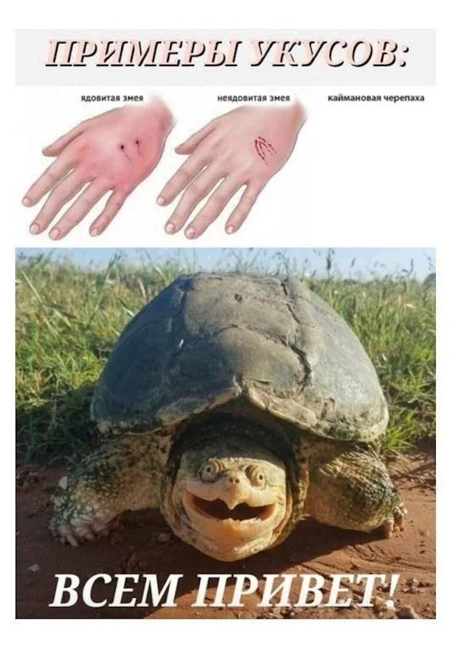������� ���� � ������� ��� ���������� (33 ����)