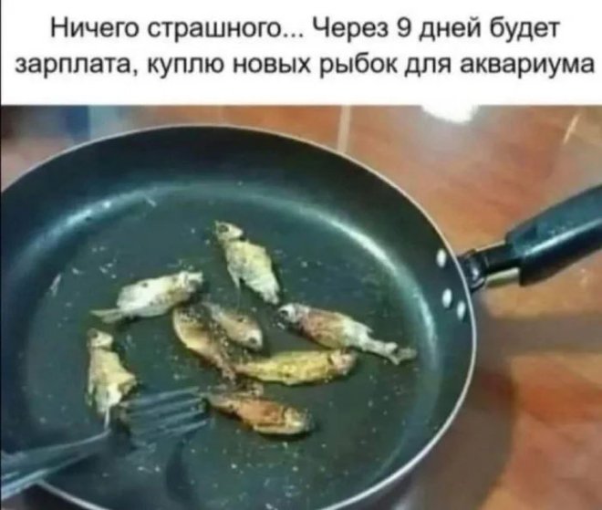 ������� ���� � ������� ��� ���������� (33 ����)