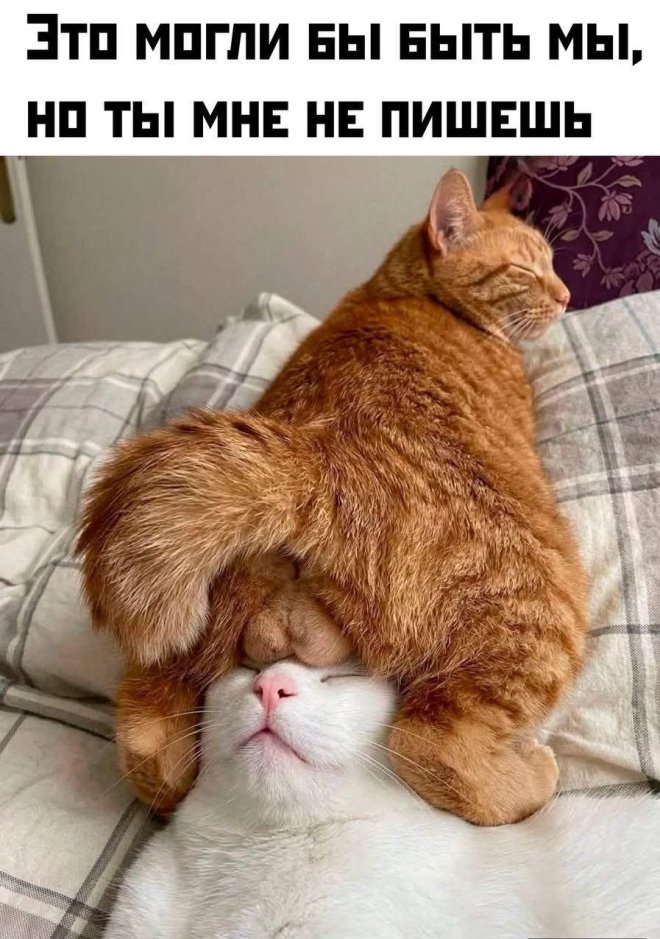 ������� ���� � ������� ��� ���������� (33 ����)