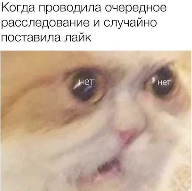 ������� ���� � ������� ��� ���������� (33 ����)