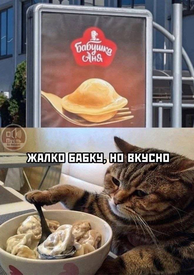 ������� ���� � ������� ��� ���������� (33 ����)