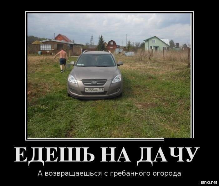 ������������ �������� (20 ����)