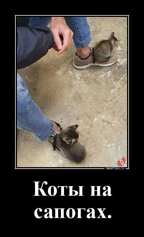 ������������ �������� (20 ����)