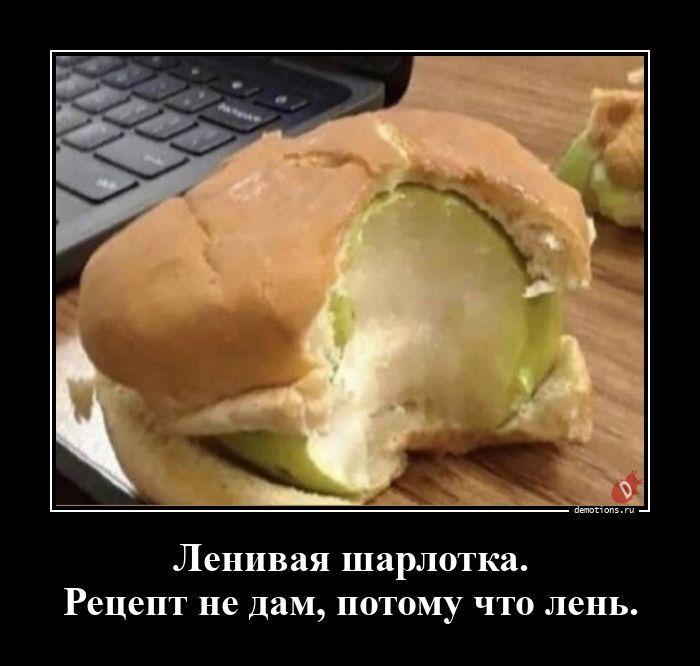 ������������ �������� (20 ����)