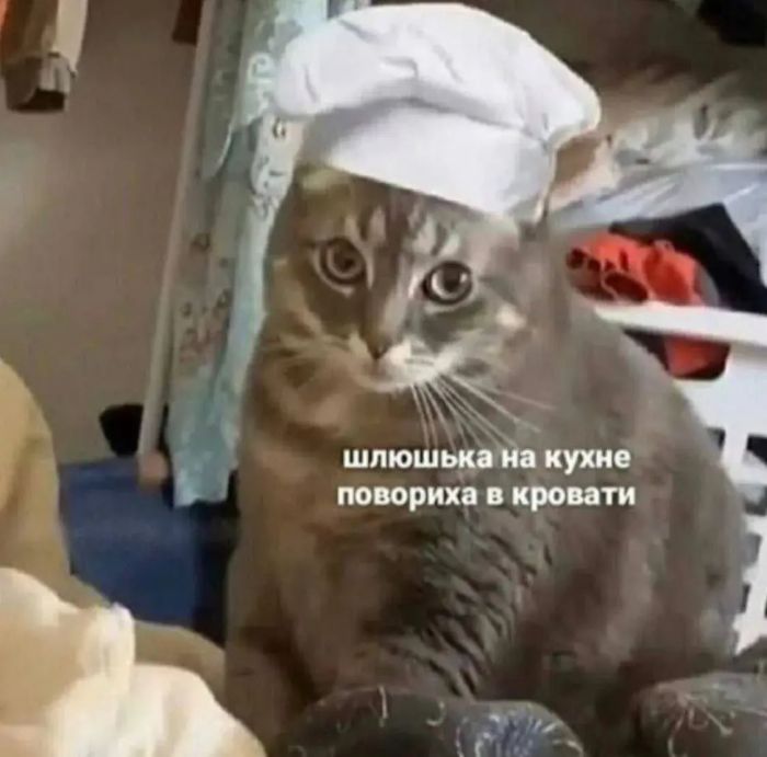 ������� ����� � �������� �� ���� (33 ����)