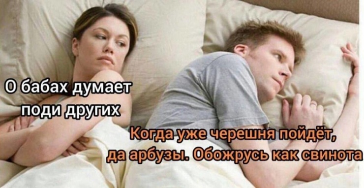 ������� ����� � �������� �� ���� (33 ����)