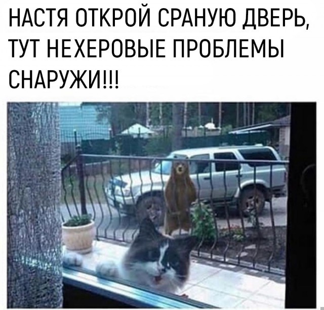 ������� ����� � �������� �� ���� (33 ����)