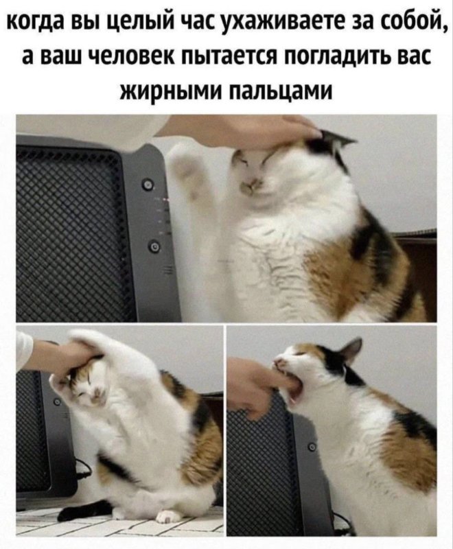 ������ ������� � ���� ��� ��������� ���������� (28 ����)