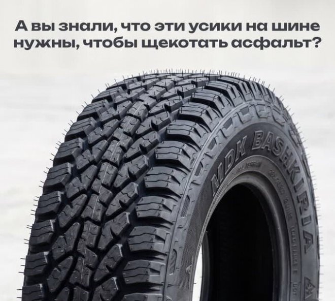 ������ ������� � ���� ��� ��������� ���������� (28 ����)