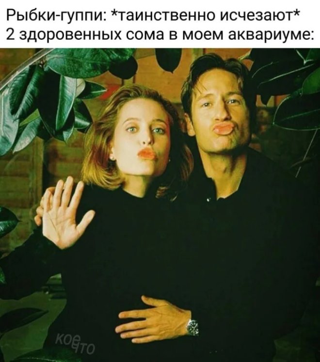 ������ ������� � ���� ��� ��������� ���������� (28 ����)