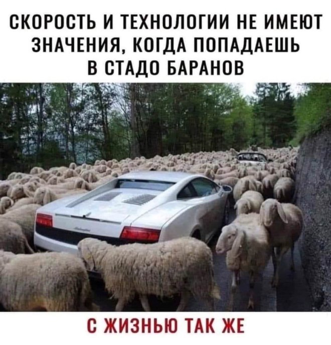 ������ ������� � ���� ��� ��������� ���������� (28 ����)