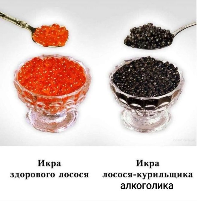 ������ ������� � ���� �� ���� (25 ����)
