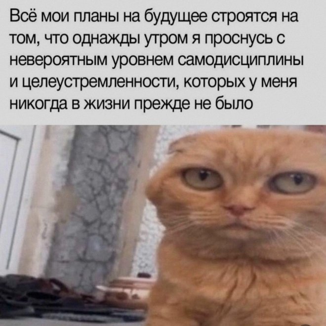 ������ ������� � ���� �� ���� (25 ����)