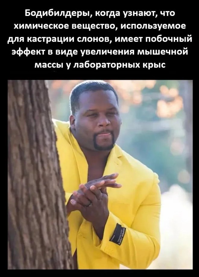 ������ ������� � ���� �� ���� (25 ����)
