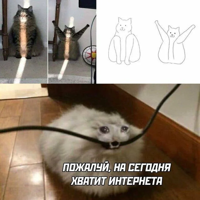 ������ ������� � ���� �� ���� (25 ����)