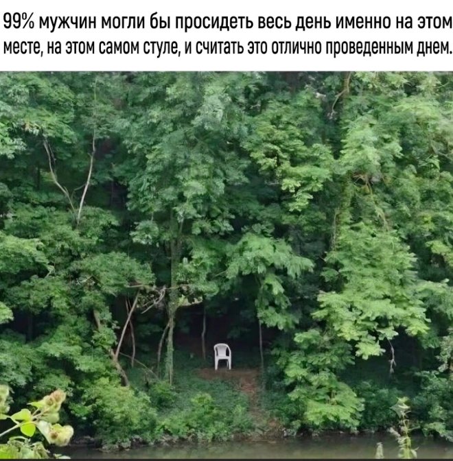 ������ ������� � ���� �� ���� (25 ����)