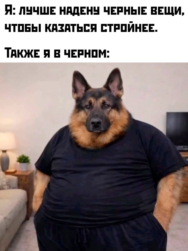 ���������! �������� �������� ��� ���������� (28 ����)