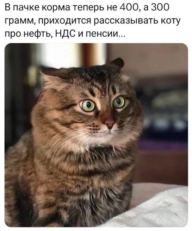���������! �������� �������� ��� ���������� (28 ����)