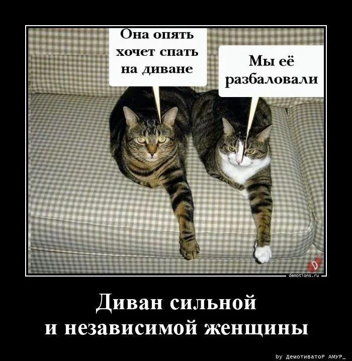 ������������ �������� (20 ����)