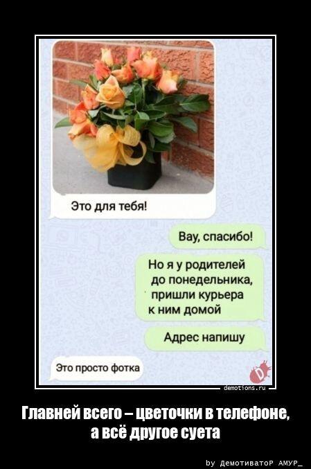 ������������ �������� (20 ����)