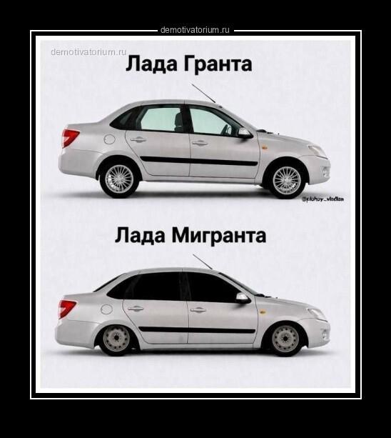 ������������ �������� (20 ����)