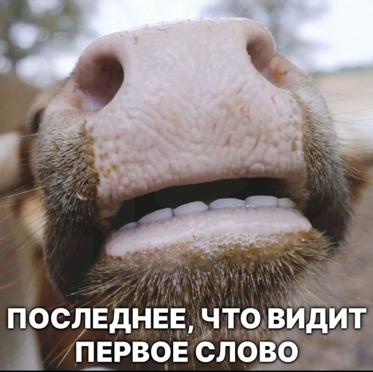 �������� ����� � �������� (32 ����)