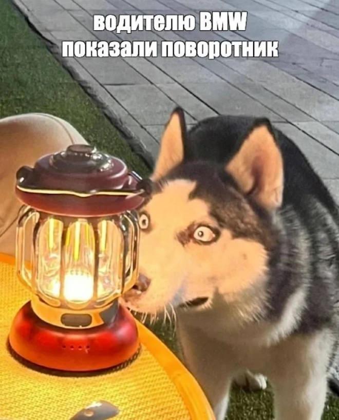 �������� ����� � �������� (32 ����)