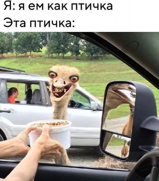 �������� ����� � �������� (32 ����)