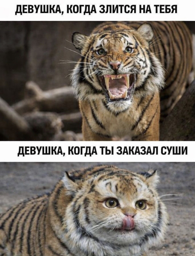 �������� ����� � �������� (32 ����)