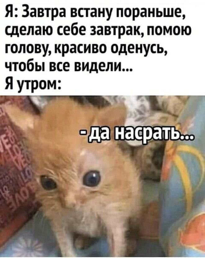 �������� ����� � �������� (32 ����)