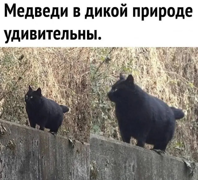 ������ ���� � ������� ��� ��������� ���������� (20 ����)