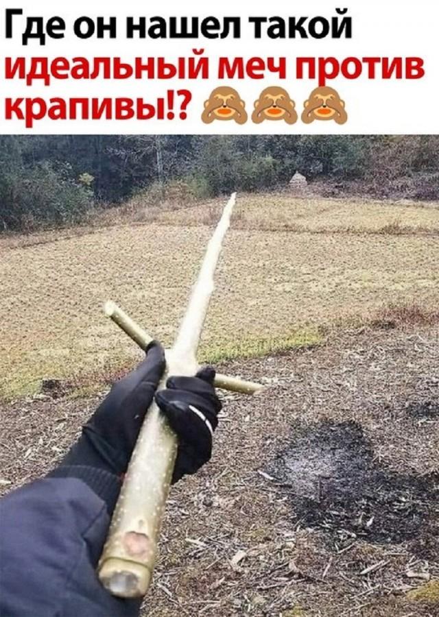 ������ ���� � ������� ��� ��������� ���������� (20 ����)