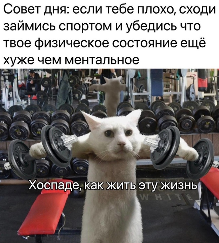 ������ ���� � ������� ��� ��������� ���������� (20 ����)