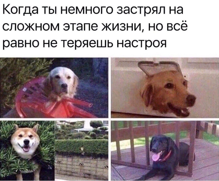 ������� ������ �������� �� ���� (30 ����)