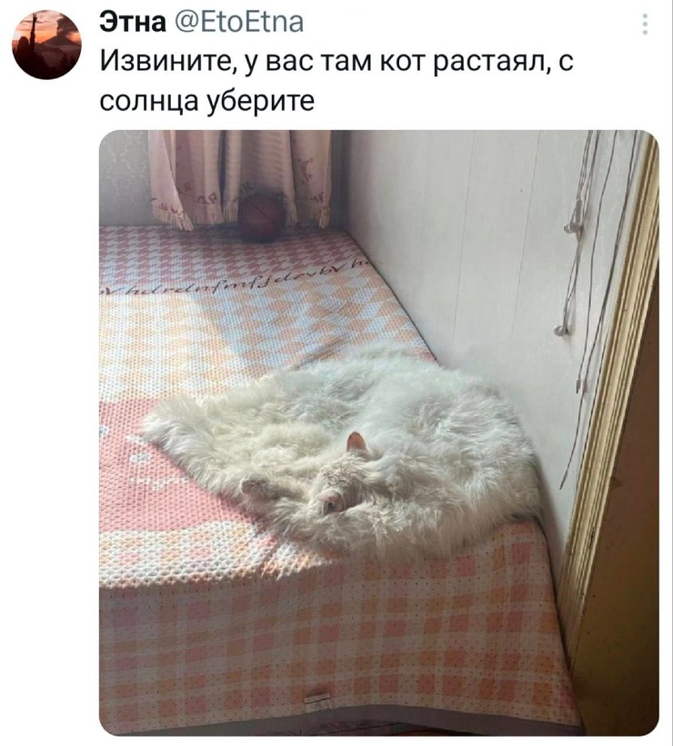������� ������ �������� �� ���� (30 ����)