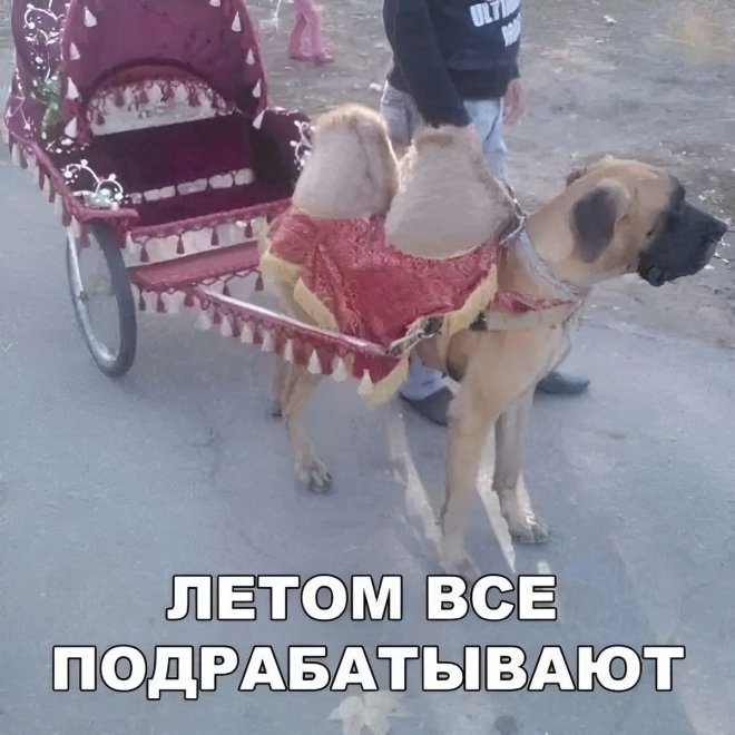 ��������! ������� ���� ��� ���������� (30 ����)