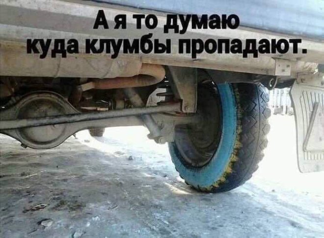 ��������! ������� ���� ��� ���������� (30 ����)
