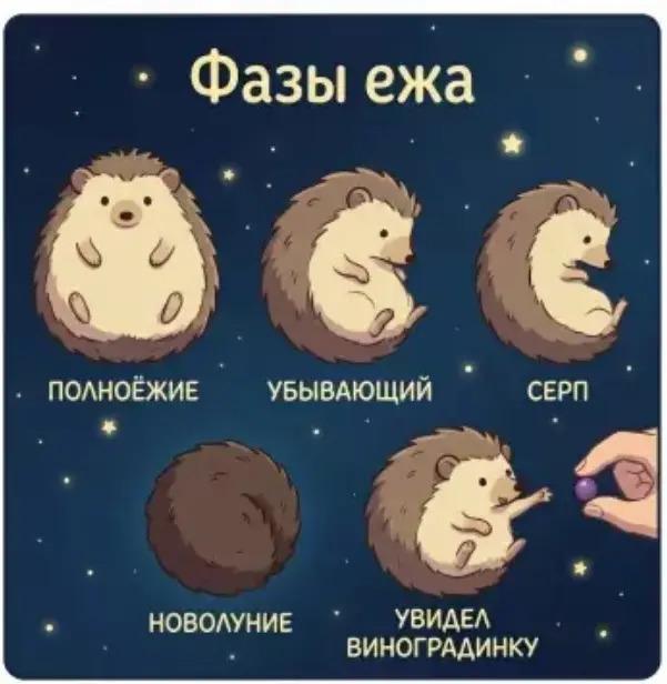 ������� ������� ��� ���������� (15 ����)