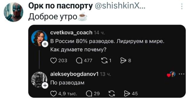 ���� �� �������� (15 ����)