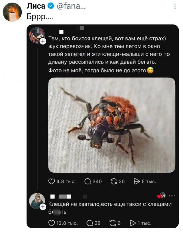 ���� �� �������� (15 ����)