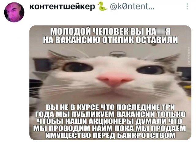 ���� �� �������� (15 ����)