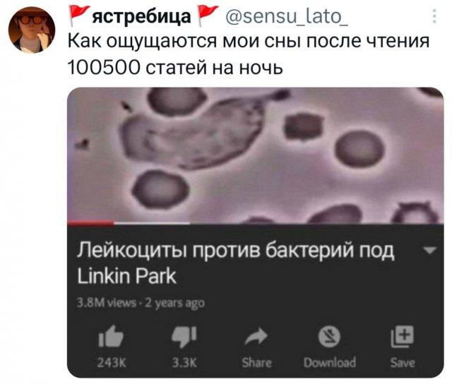 ���� �� �������� (15 ����)