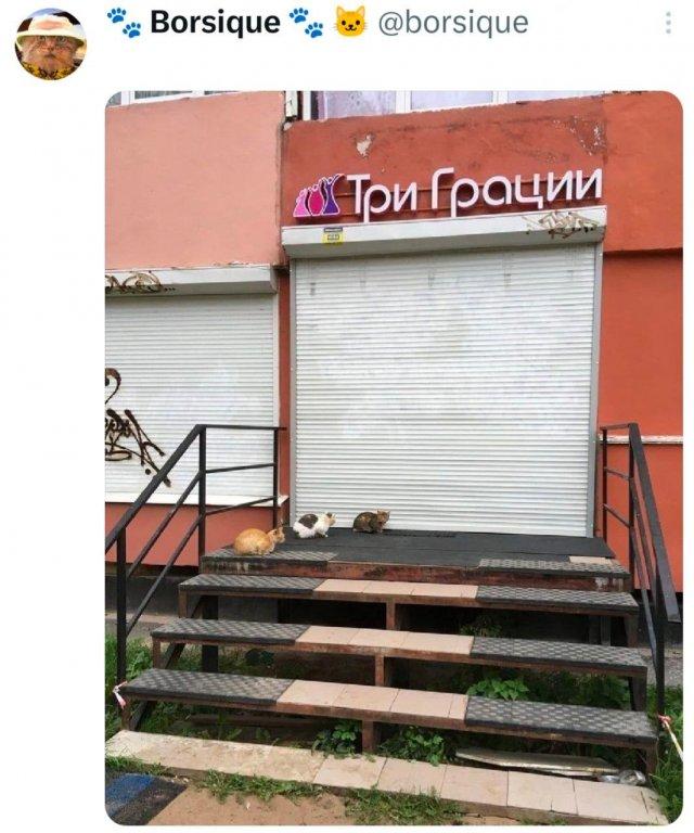 ���� �� �������� (15 ����)