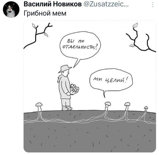 ���� �� �������� (15 ����)