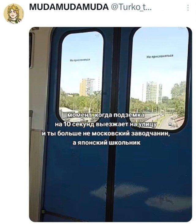 ���� �� �������� (15 ����)