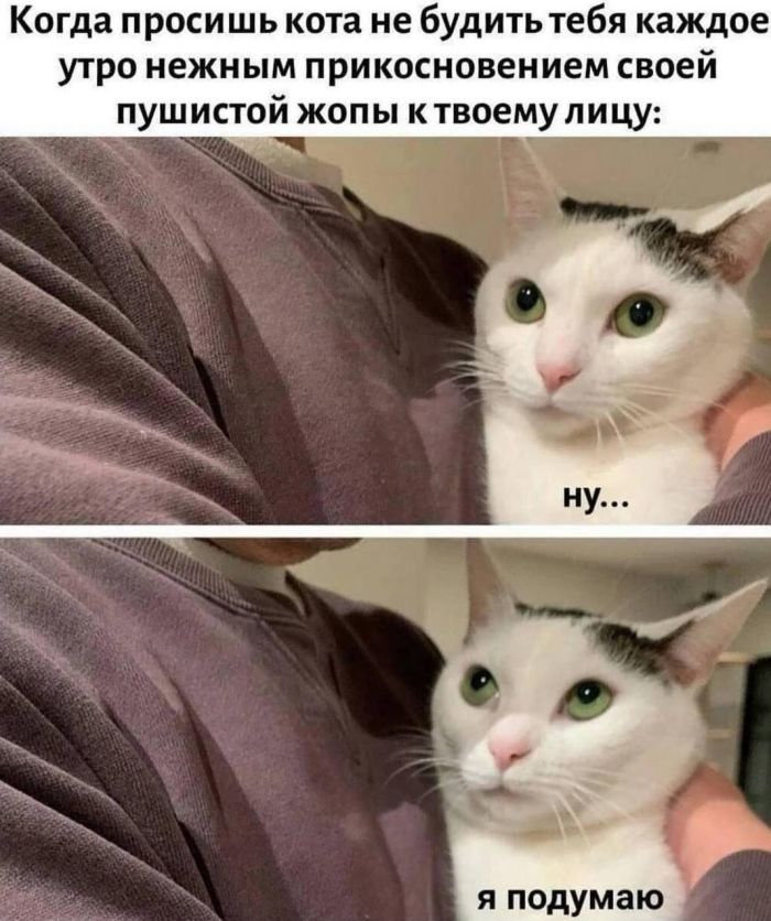 �������� ������ �������� ��� ���������� (35 ����)